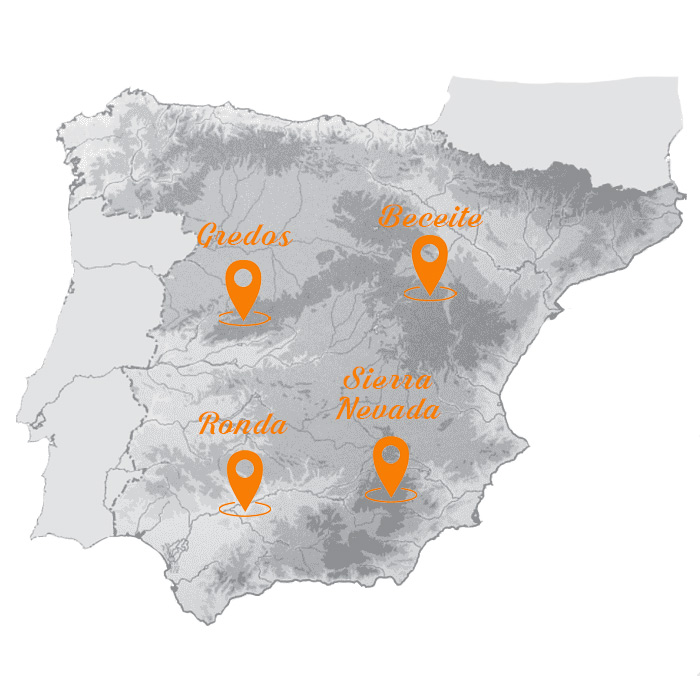 gran slam españa