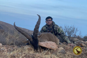 rececho macho montes bronce